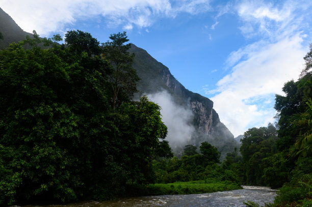 远山丛林美景