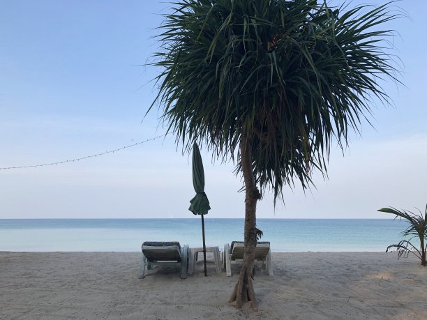 美丽夏季大海沙滩风景