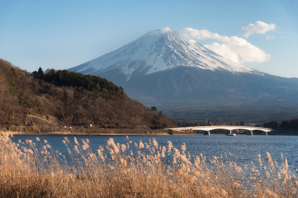 樱花湖水