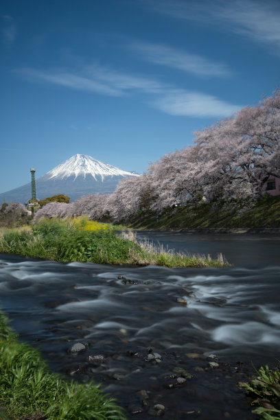 花槽