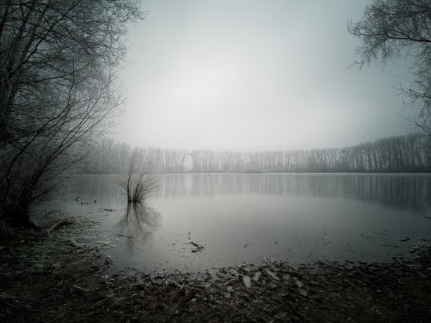 早冬湖边霜冻的美景