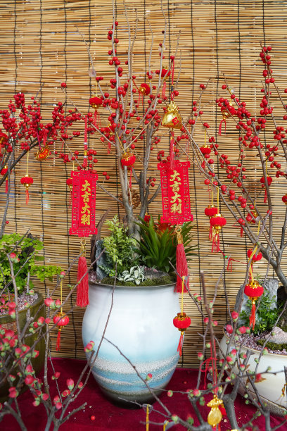 春节 喜庆 祝福 祈福 过年