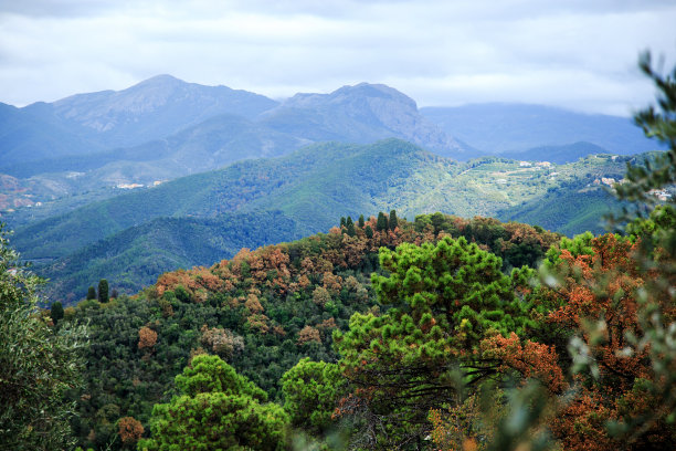 湖山别墅