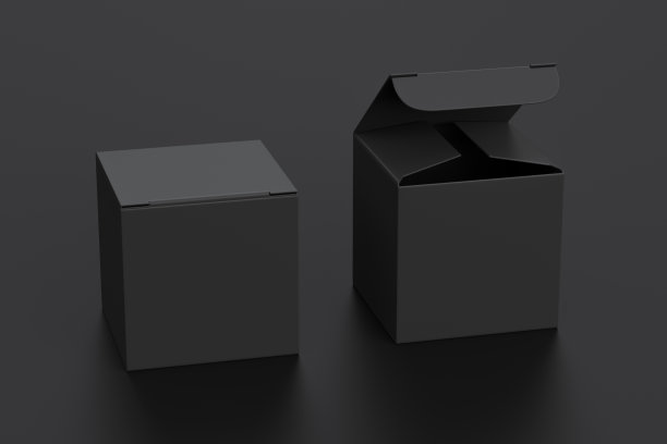黑色产品盒模型