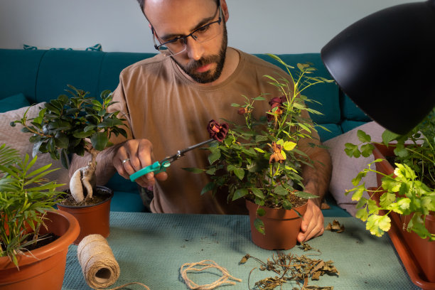 大自然绿色植物生态