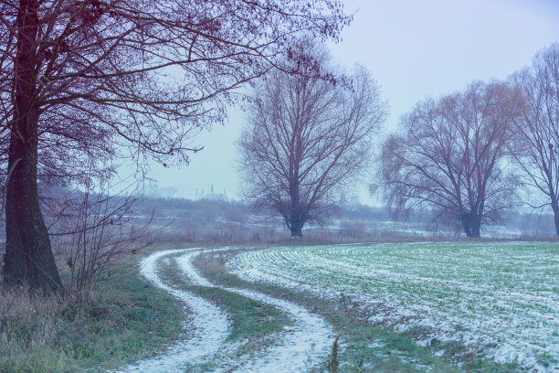 初冬的乡村道路