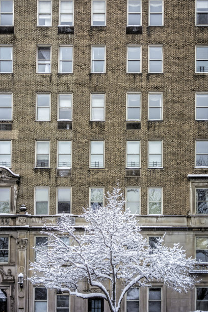 雪中小区