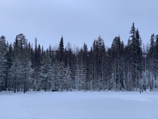 小雪大雪小寒大寒