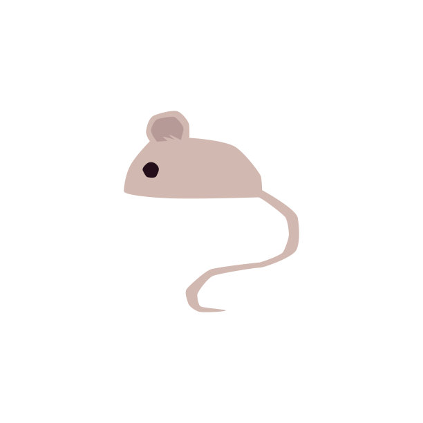 可爱老鼠