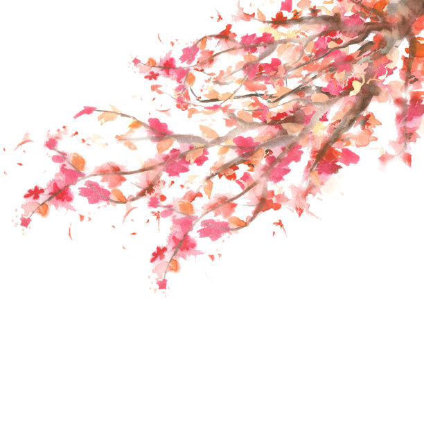 粉色浪漫樱花摄影图