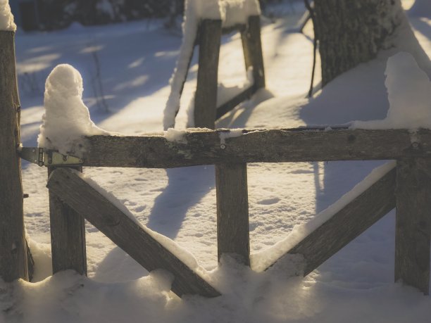 下雪中的院子