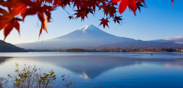 枫叶与天空