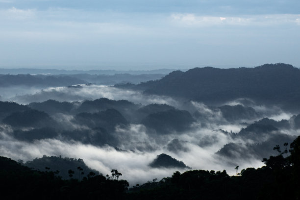 山峦云雾松树日出