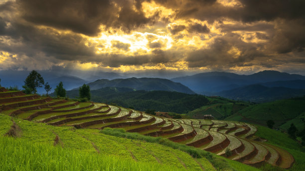 天然食品山村田野风景