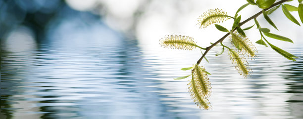 清明节清新海报