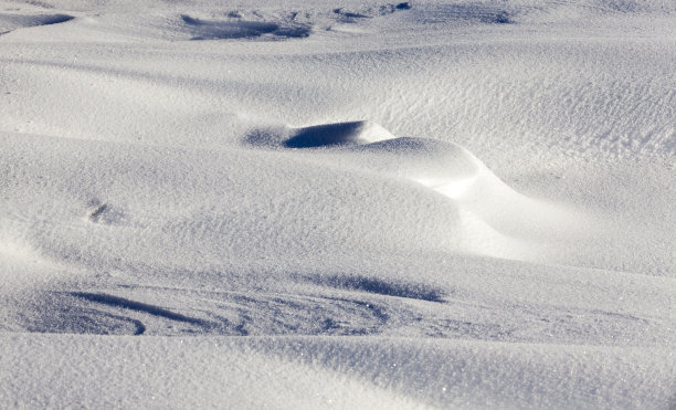 白雪覆盖牧场