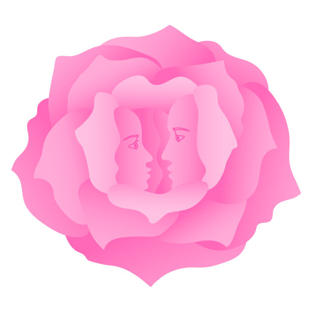 粉色玫瑰花爱情鲜花情人节