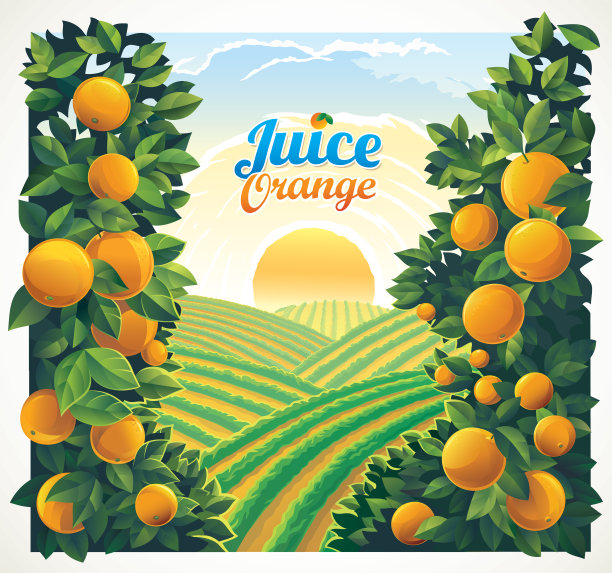 水果标签 鲜橙