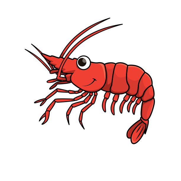 小红虾