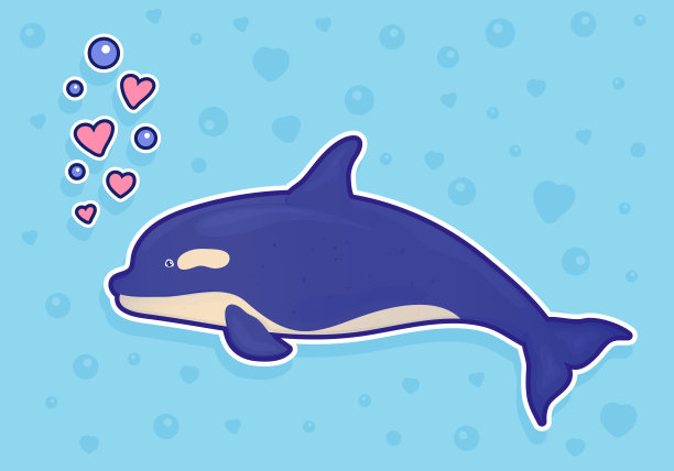 情人节,海豚