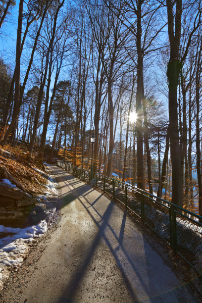 雪中城堡