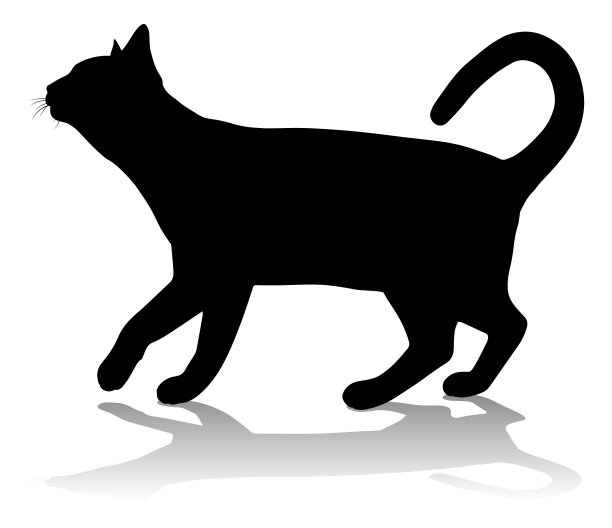 猫咪宠物标志logo