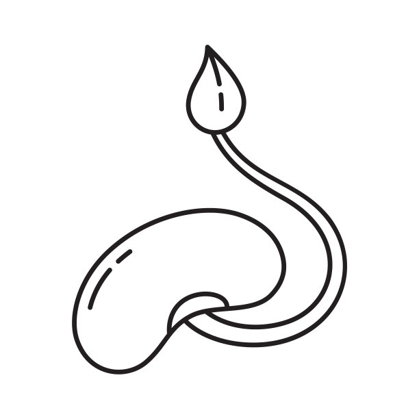 黄豆logo