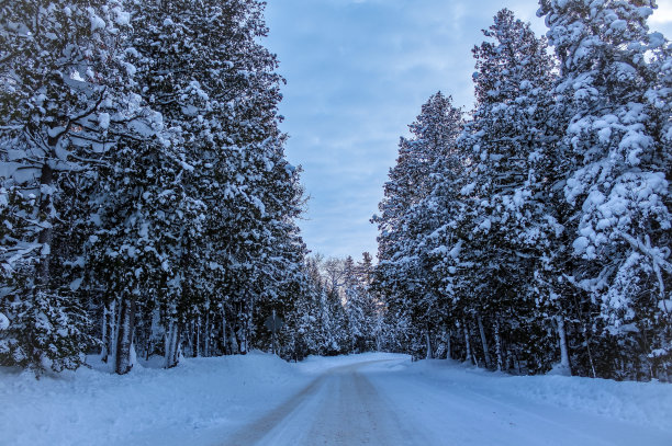 雪天路滑