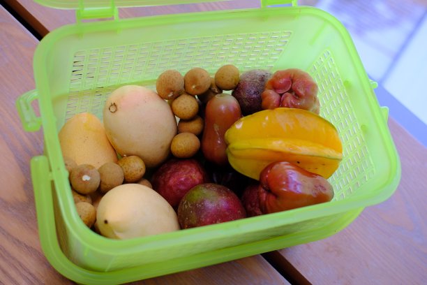 芒果水果包装