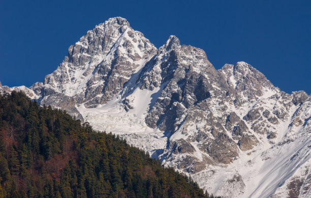 登山道