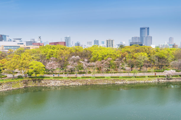 旅行者,群众,地形