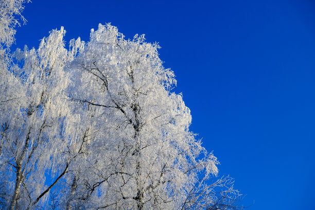 积雪寒冷小雪小寒大寒