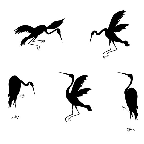 鸟的矢量设计图