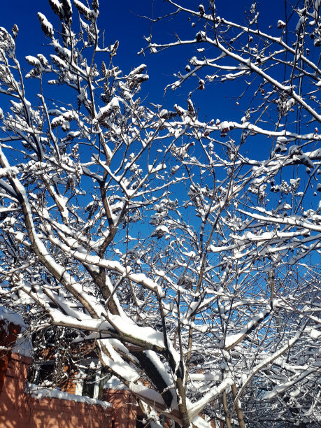 积雪寒冷小雪小寒大寒