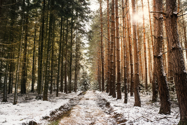 冬天冬季冰雪圣诞旅游立冬至