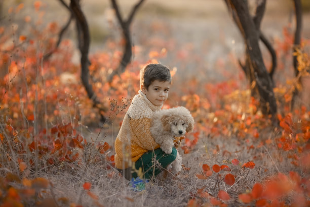小男孩和宠物狗