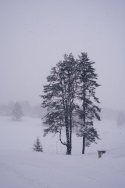 梦幻雪景