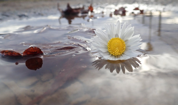 谷雨时节