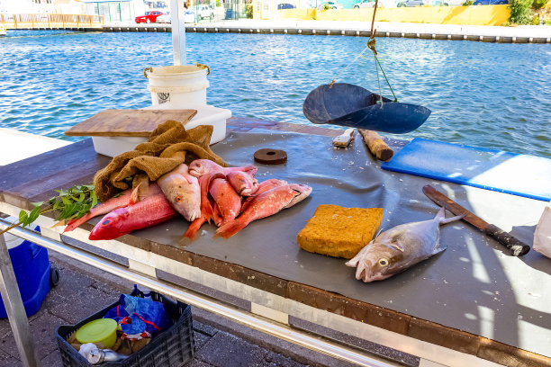 渔港海鲜市场