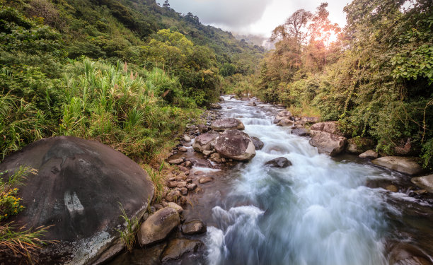 远山丛林美景