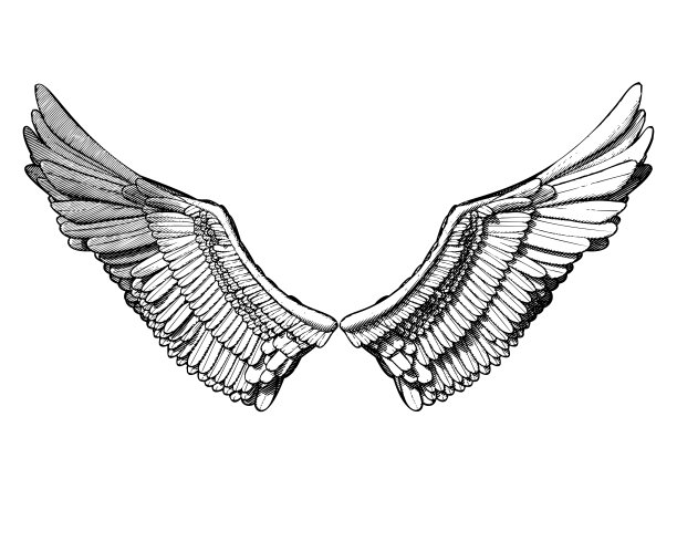 天使之翼背景图