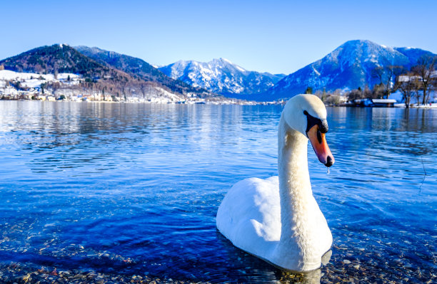 古城雪景全景图