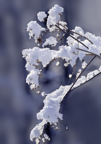 积雪寒冷小雪小寒大寒