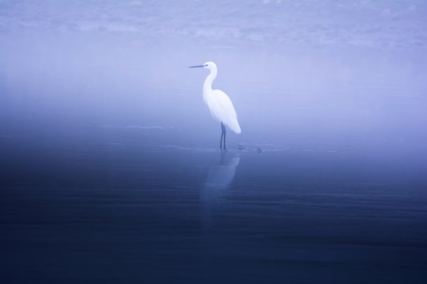 决战江湖