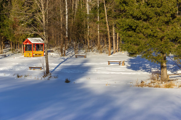 积雪寒冷小雪小寒大寒