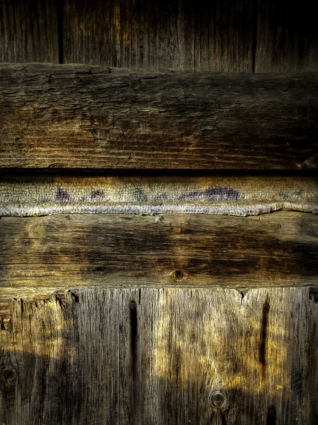 木头上的钉子