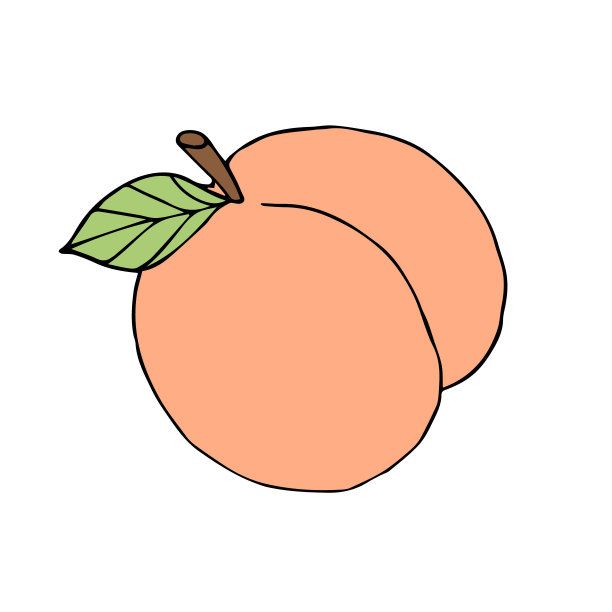 矢量杏