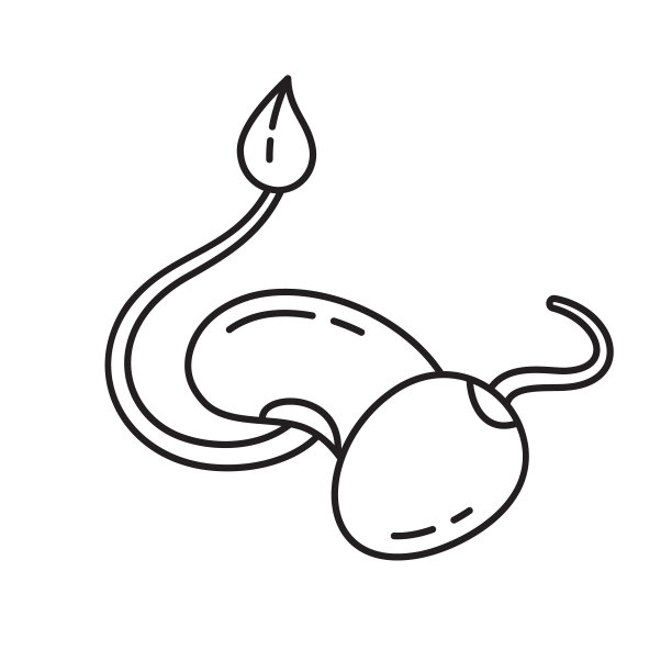 豆子logo