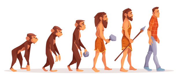 人类进化矢量插画