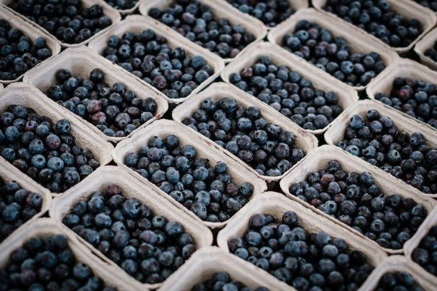 蓝莓包装箱